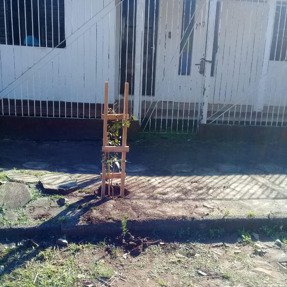 PLANTIO E REPOSIÇÃO DE ÁRVORES NATIVAS EM ÁREAS PÚBLICAS